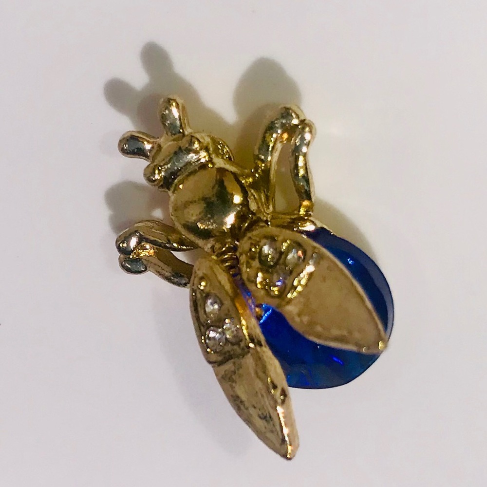 Beetle Brooch
